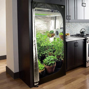 How to Choose Grow Tent for Growing Cannabis?