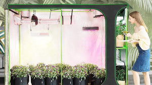 Why you want to grow inside with in a grow tent